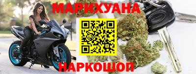 прущие грибы Лесосибирск