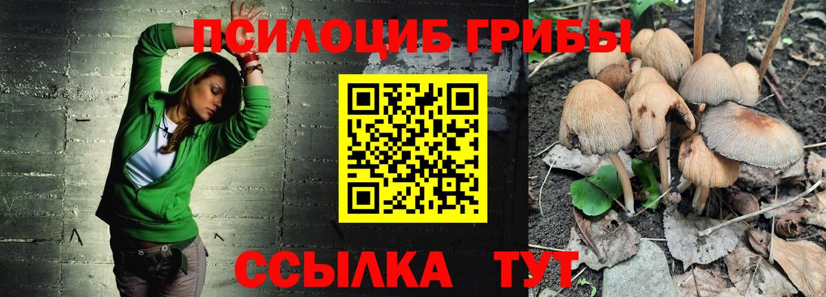 Камышлов  Галлюциногенные грибы мицелий  Вход с VPN 