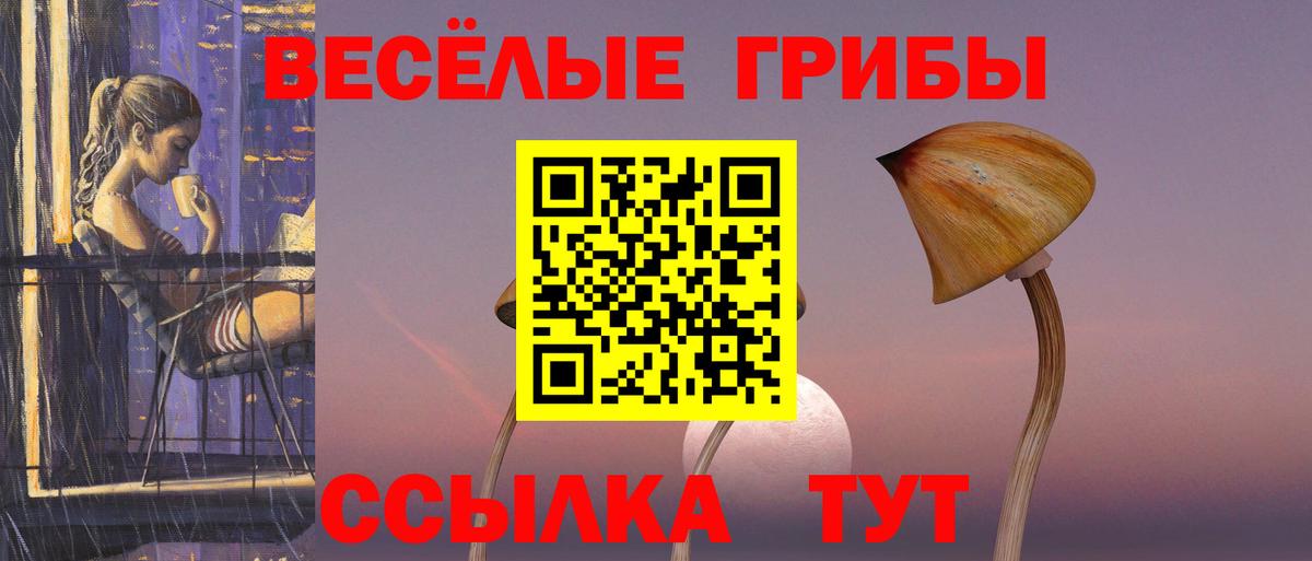 Alpha PVP СОЛЬ   ЭКСТАЗИ  Конопля  COCAIN  Вход с VPN  ГЕРОИН  Камышлов  Меф кристаллы  Где найти наркотики?  КЕТАМИН 